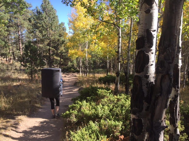 Image for Connor's World: Five Synonyms For Your Crash Pad