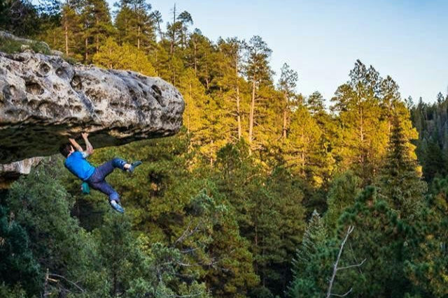 Image for Matt Gentile